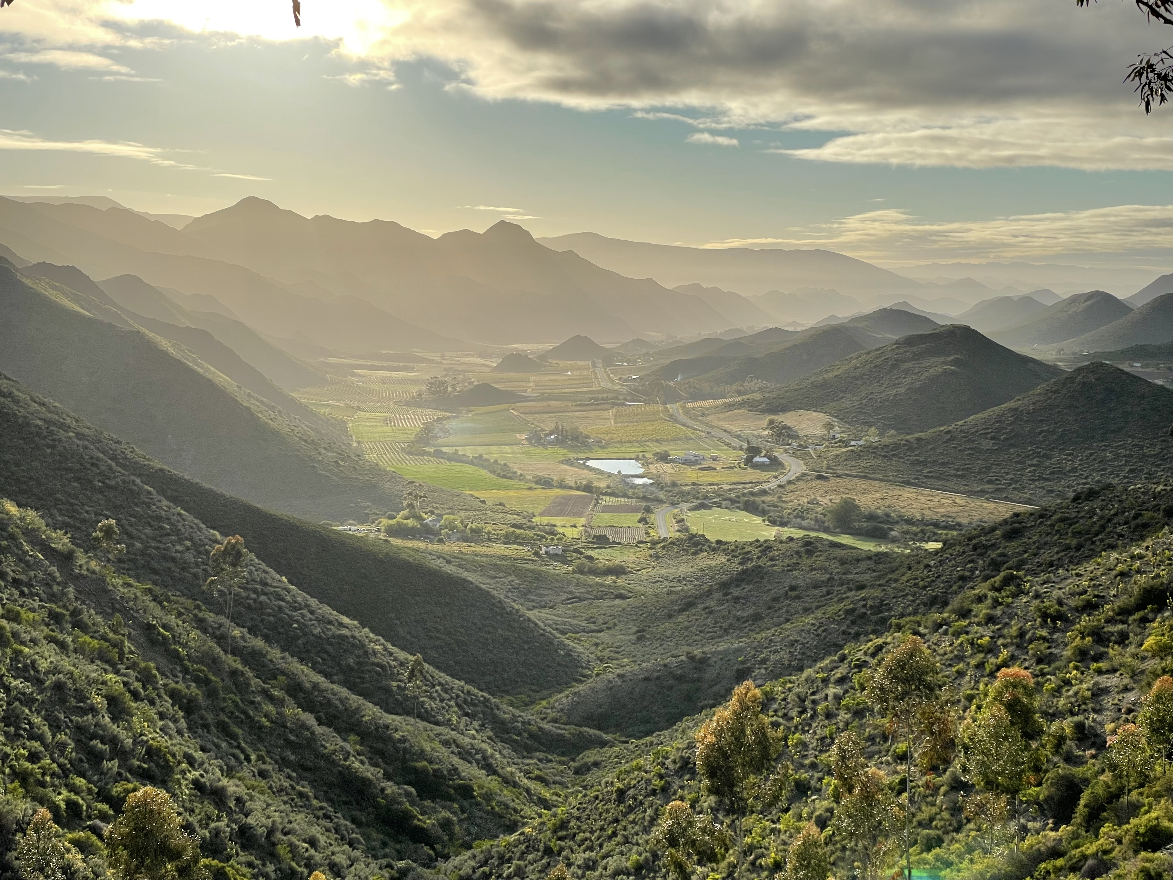 Beyond Buds cultivation facility