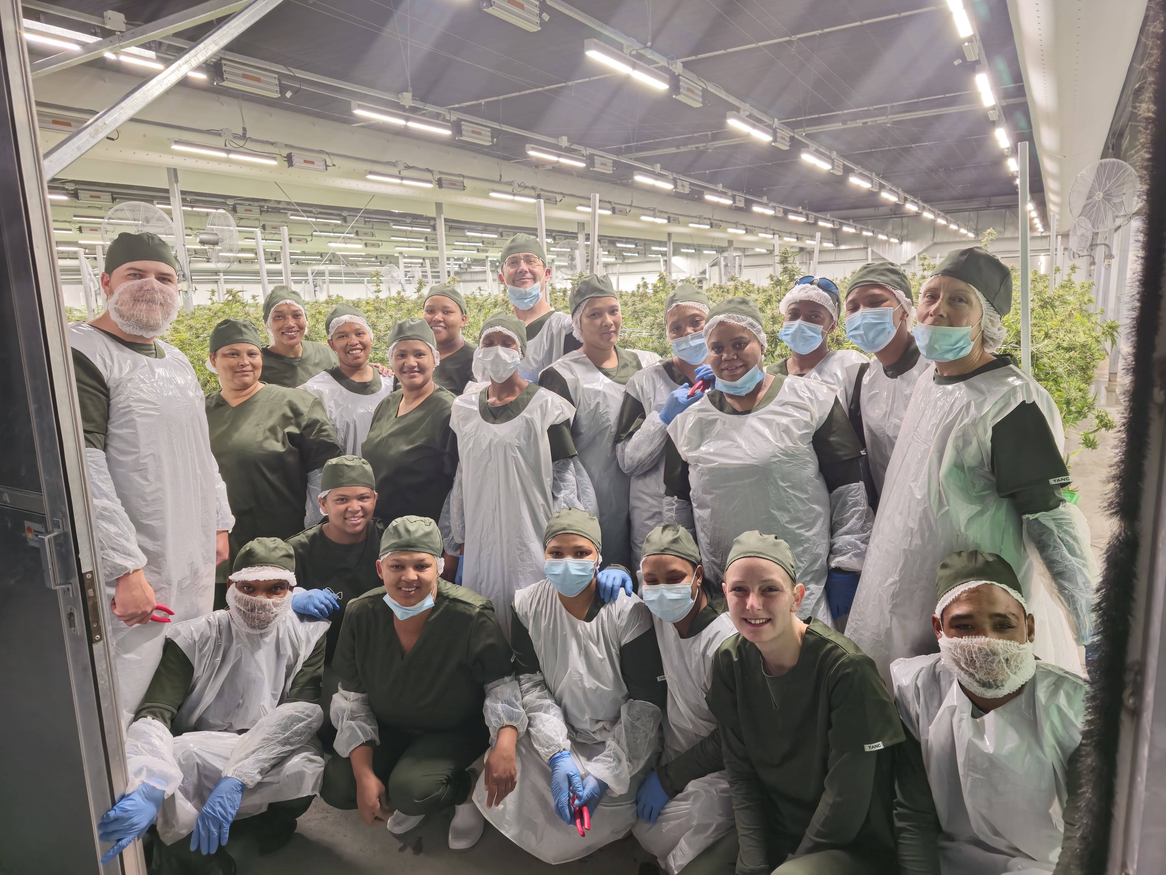 Beyond Buds team at work